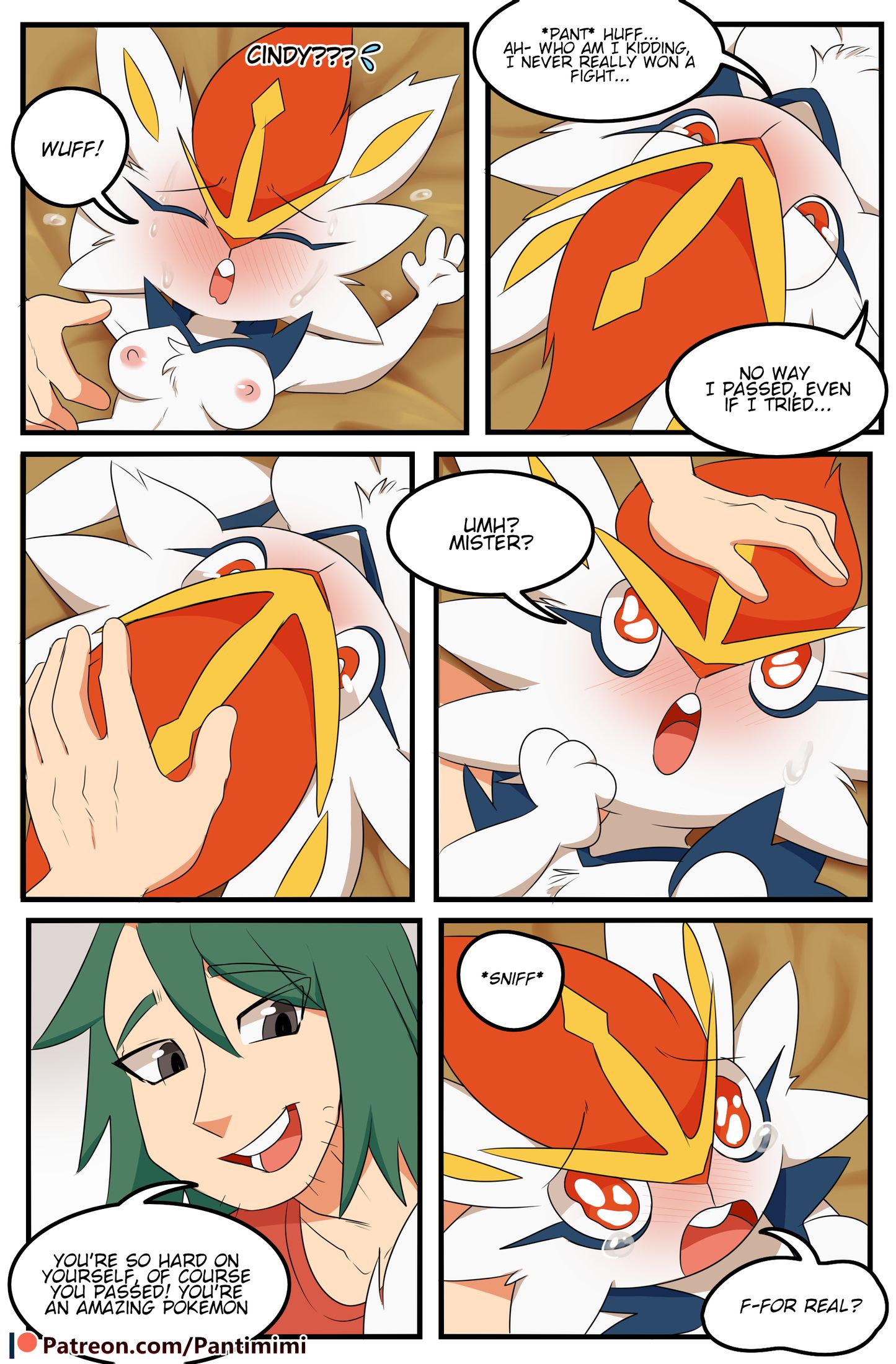 Page 27